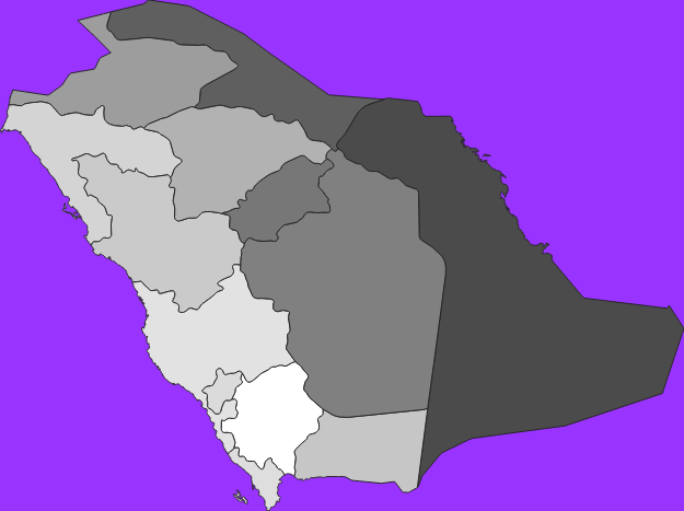 Saudi Arabia elevation map